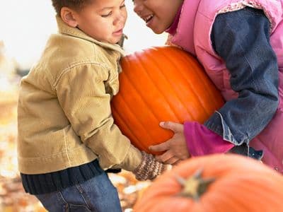 Fall Harvest Festival