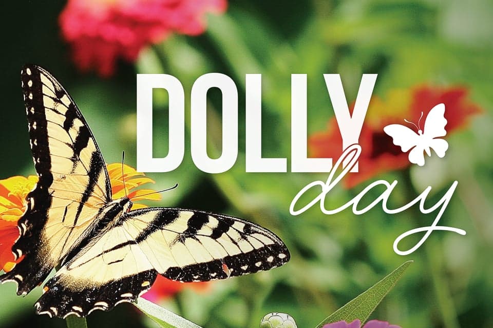 Dolly Day