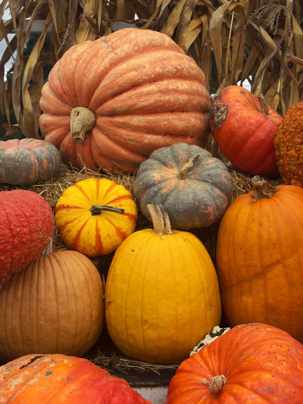 PumpkinFest