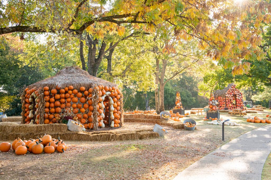 Fall for Cheekwood