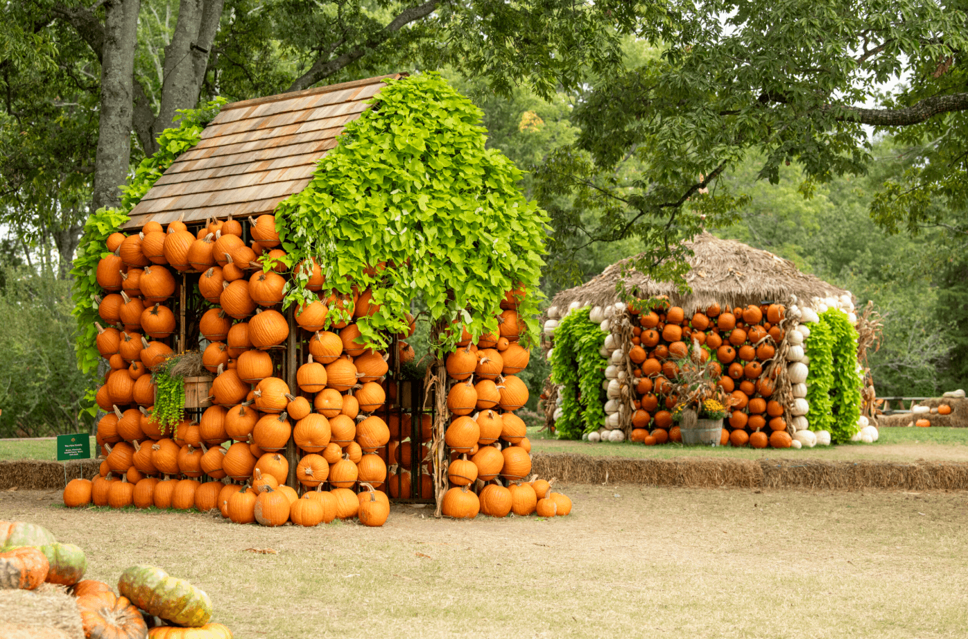 Cheekwood Harvest