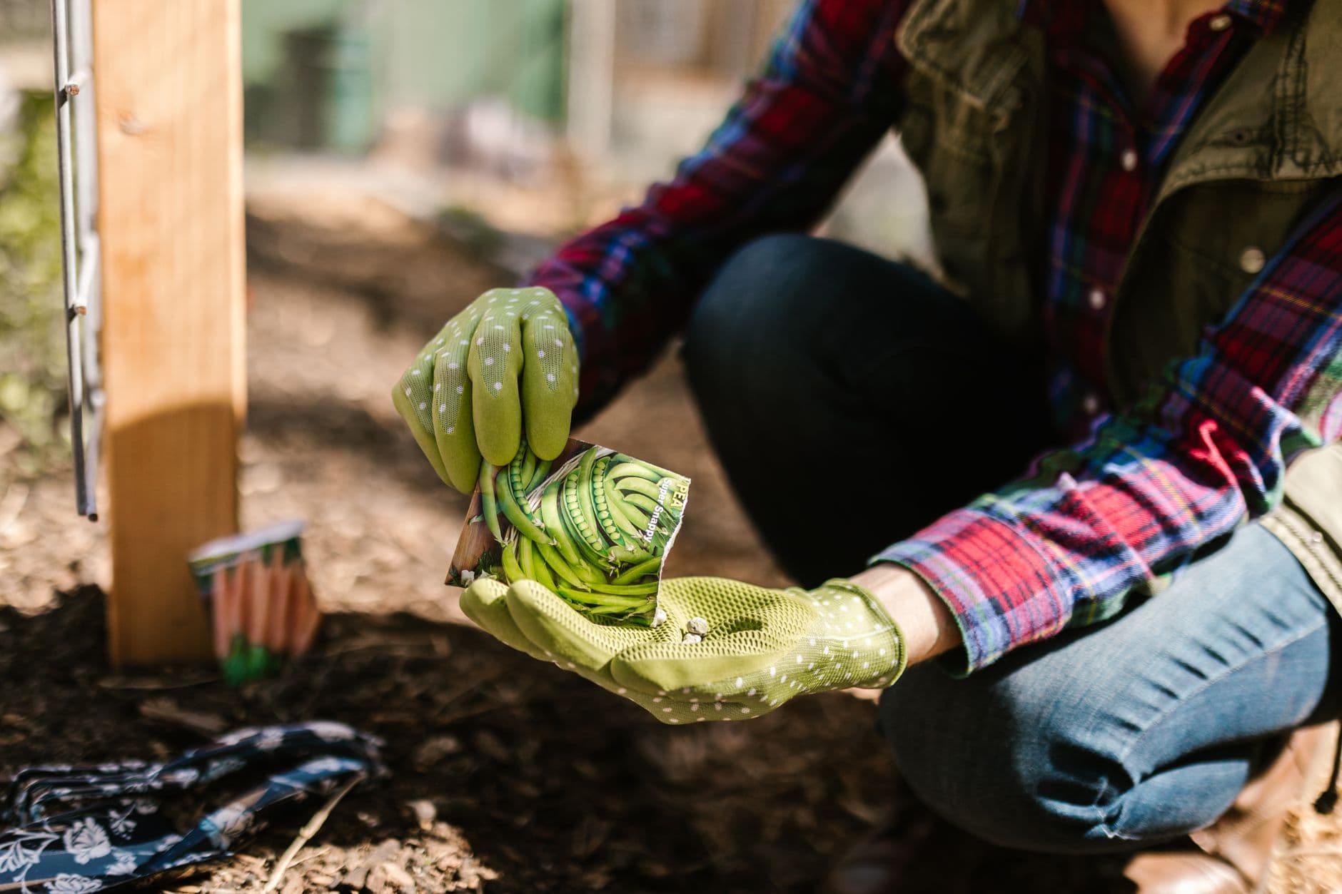 Seed Saving Season
