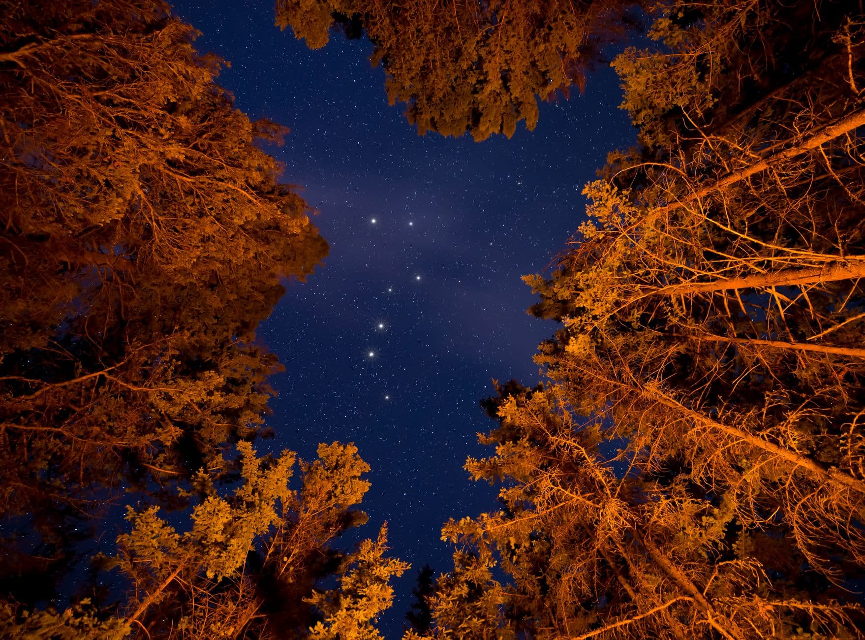 Campfire and Astronomy with Barnard-Seyfert Astronomical Society