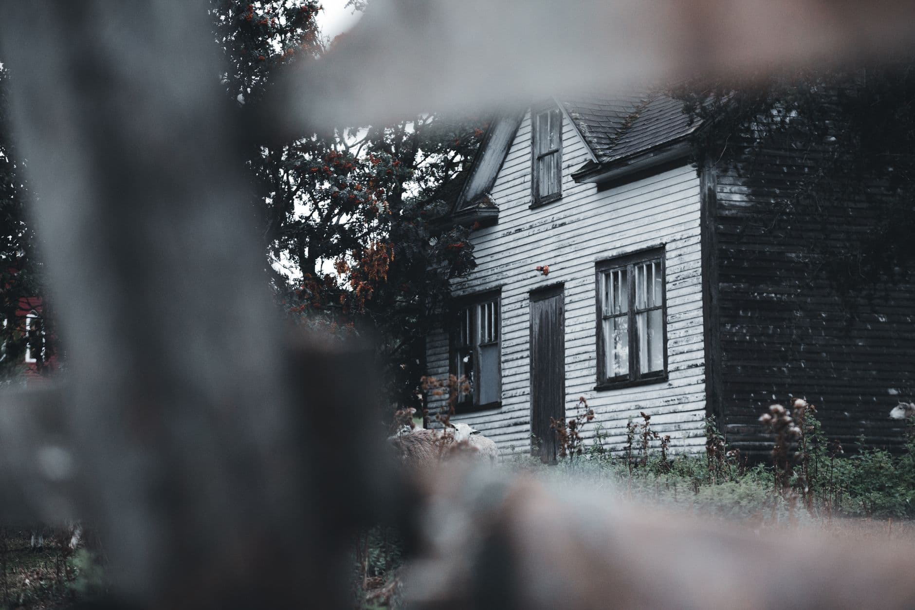 A Haunted House in Warner Woods