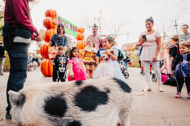 Boo at the Zoo, presented by Middle Tennessee Honda Dealers