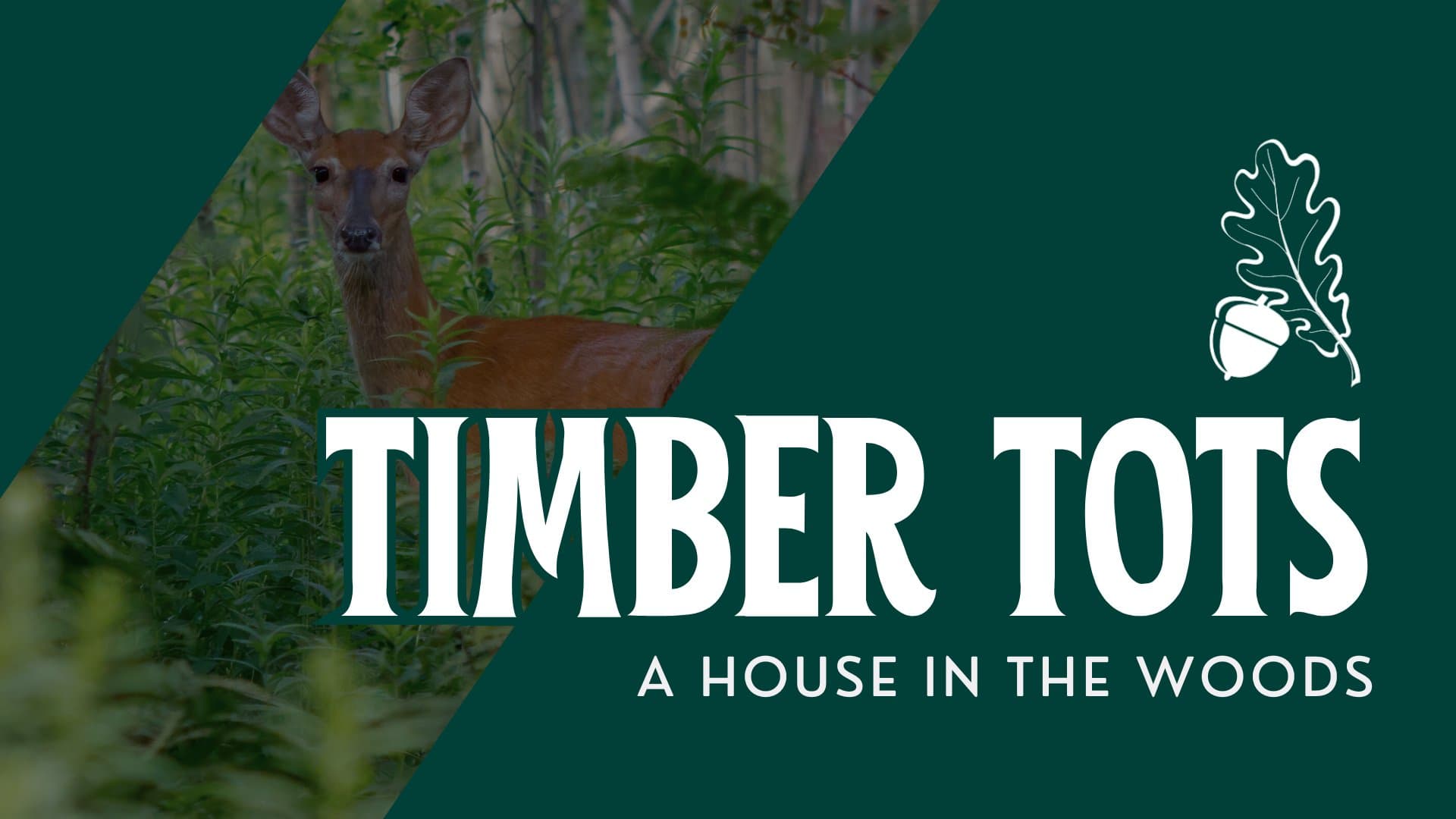 Timber Tots: A House in the Woods