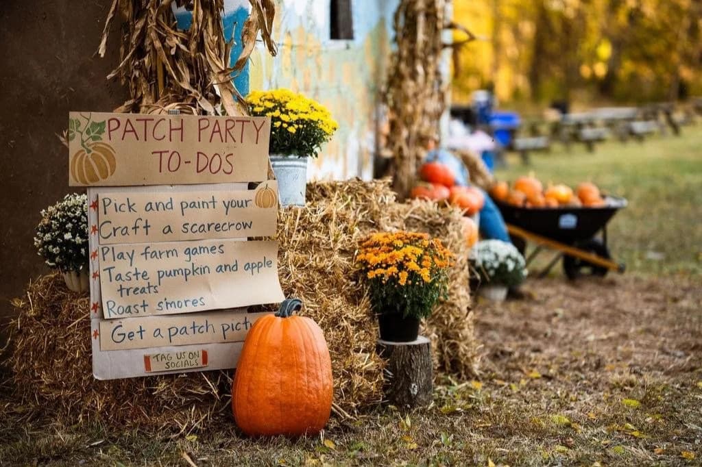Pumpkin Patch Parties