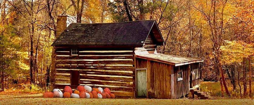 Lonesome Cabin Fall Fest