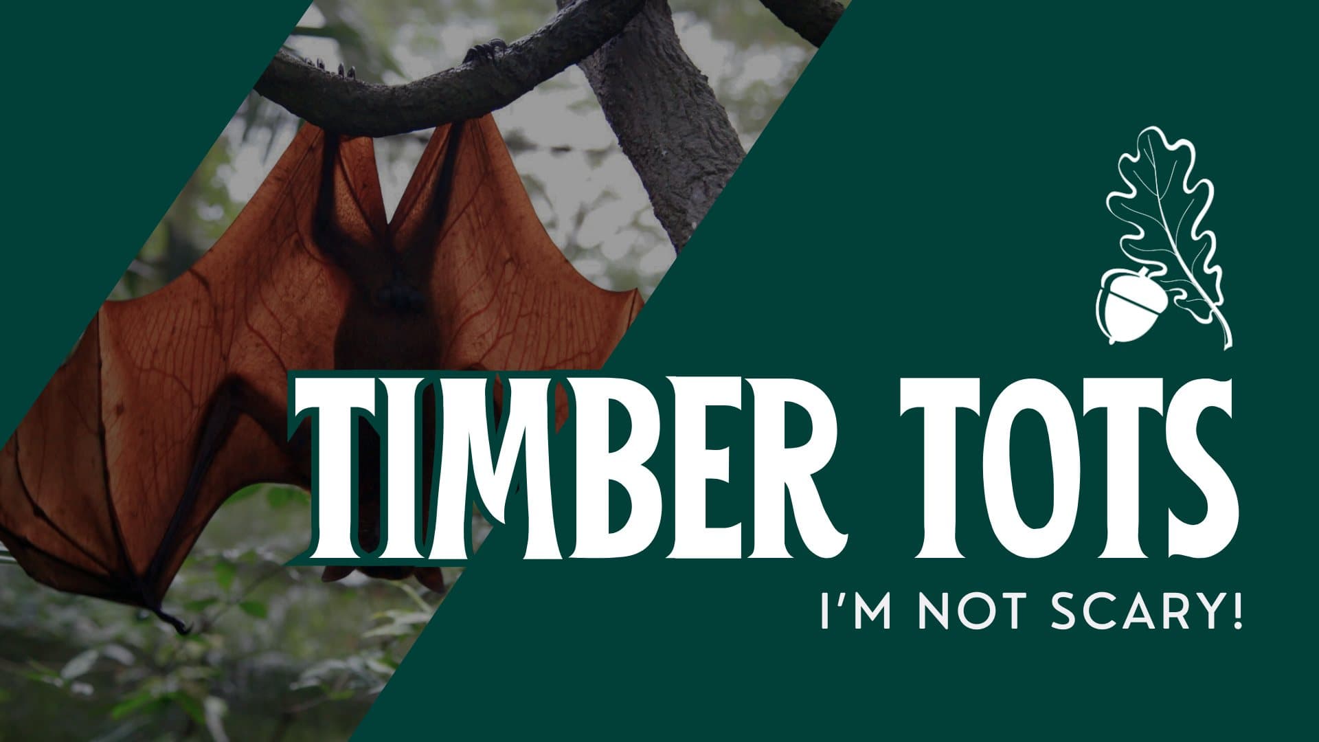 Timber Tots: I’m Not Scary!