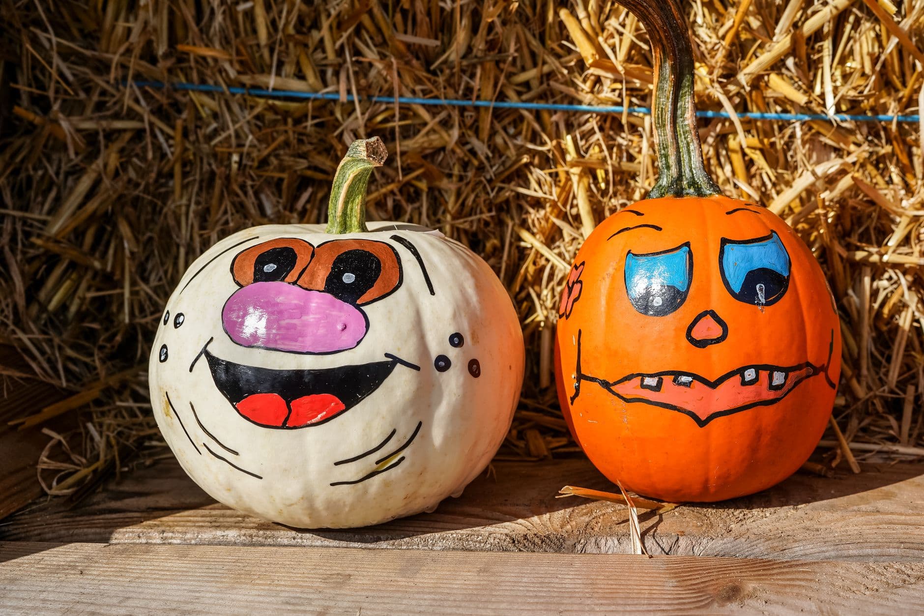 White House Pumpkin Patch