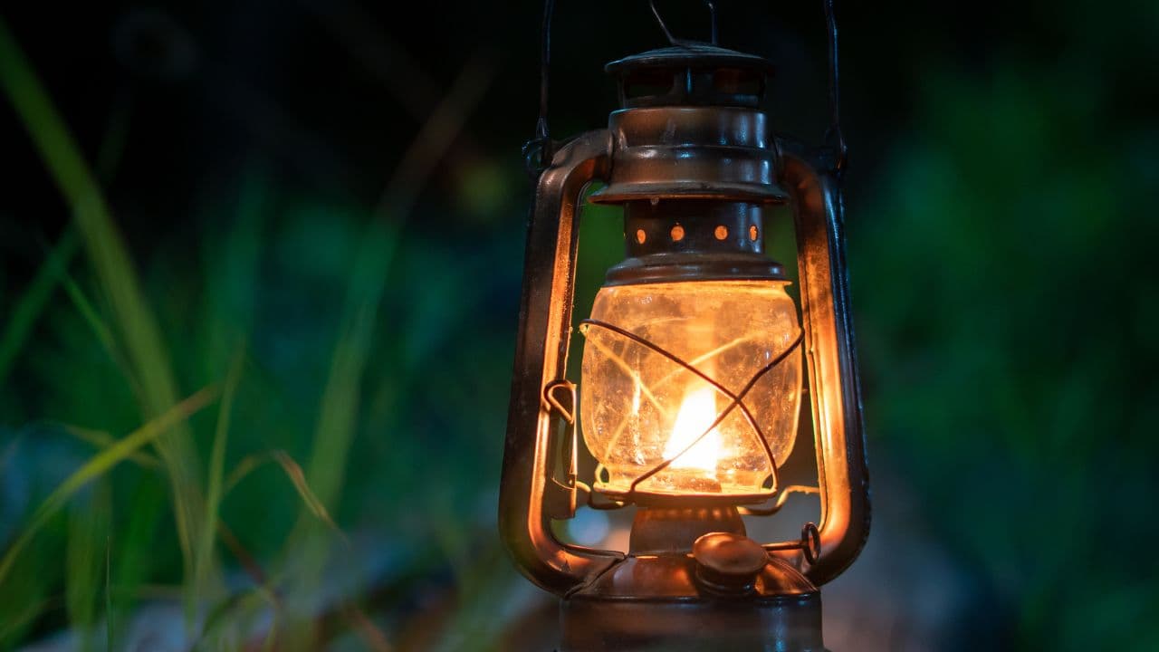 Lantern Hike at the Burch Reserve