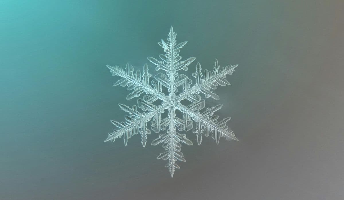 Nashville Collage Collective’s “Wintery Dreams” Opening Reception