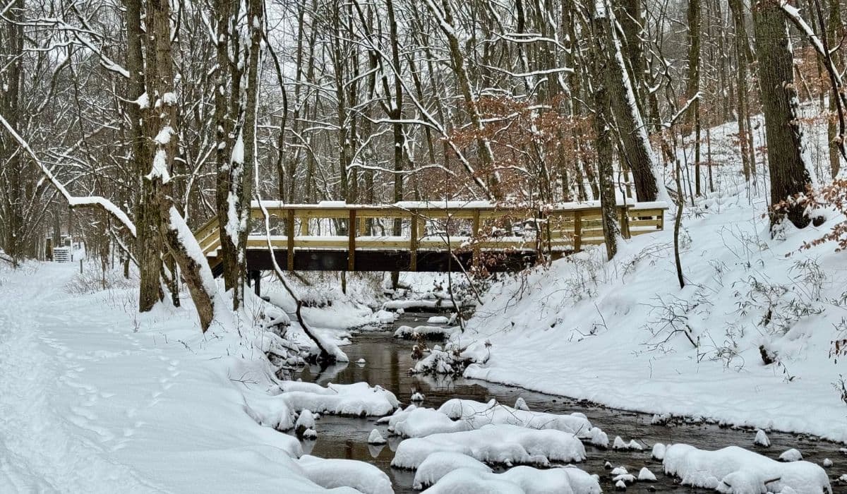 Helping Wildlife Through Winter