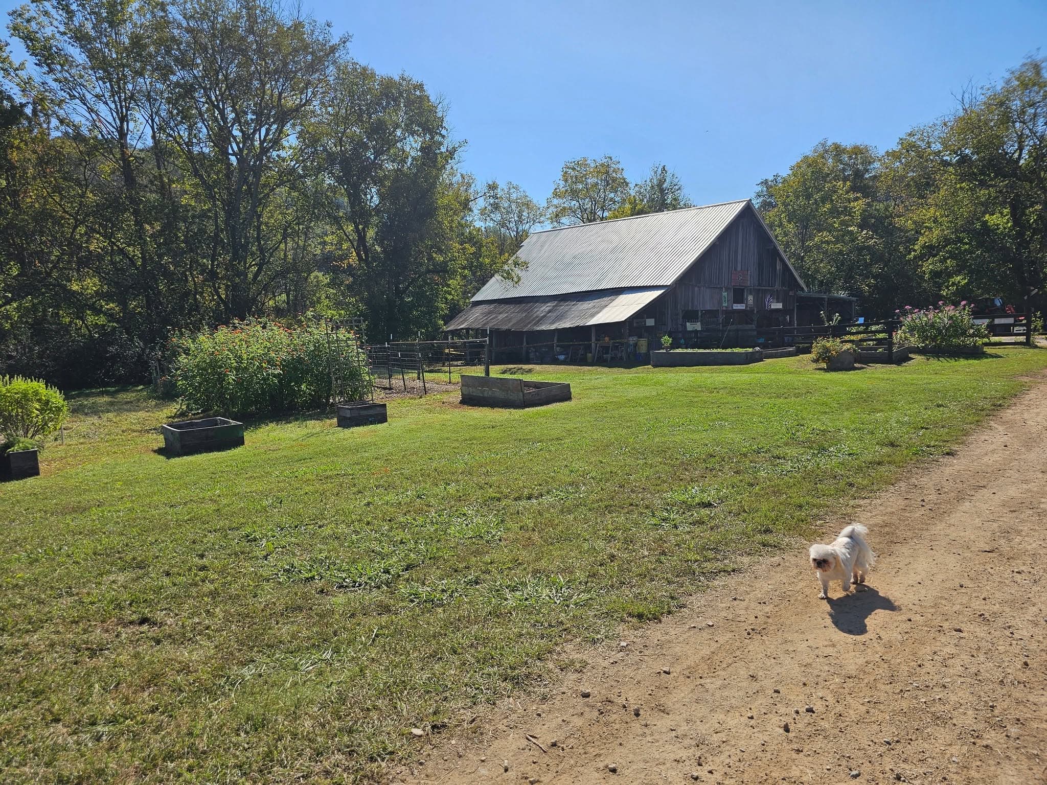 4th Annual Fall Festival ay Highland Realm Farm
