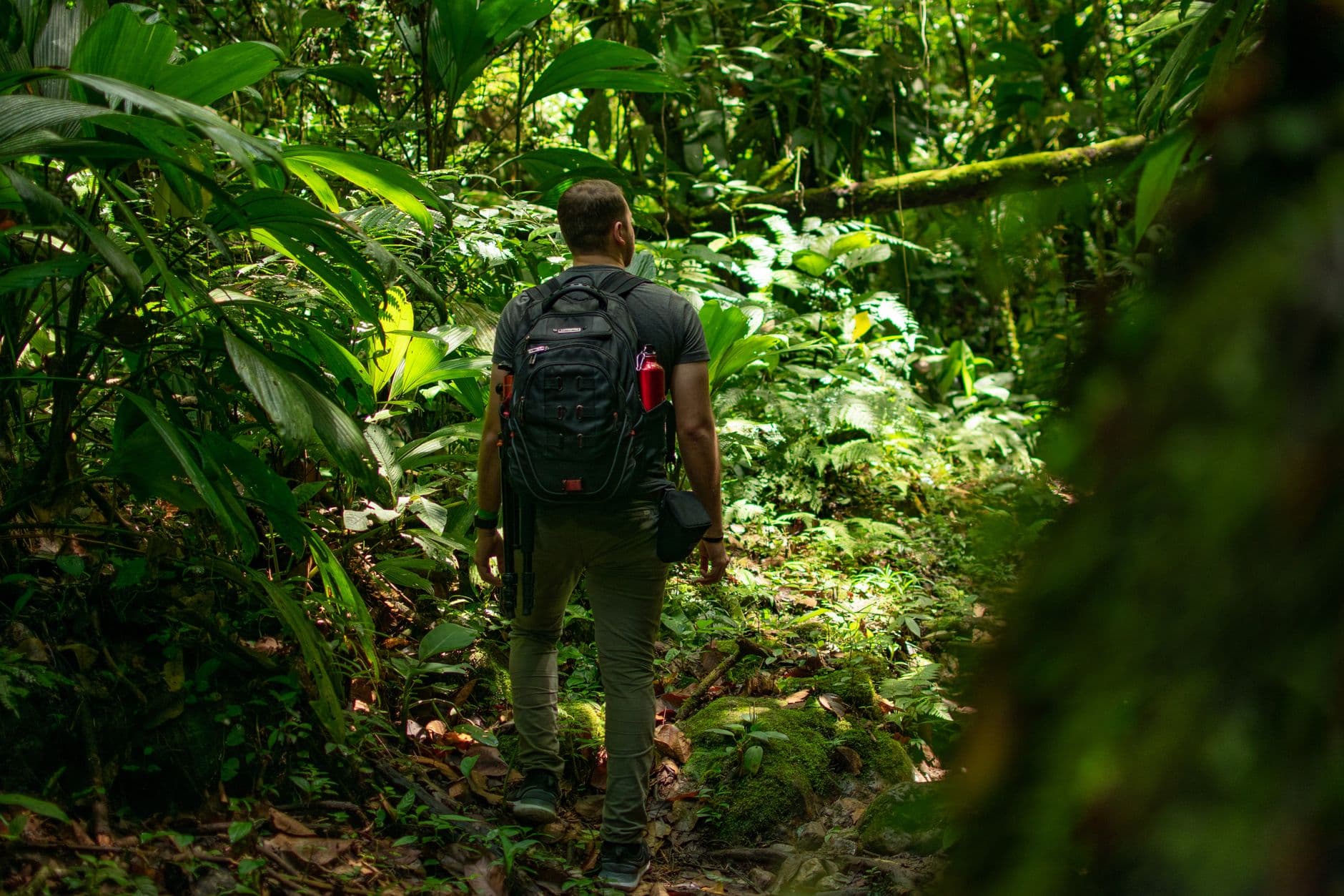 Habitat Hike