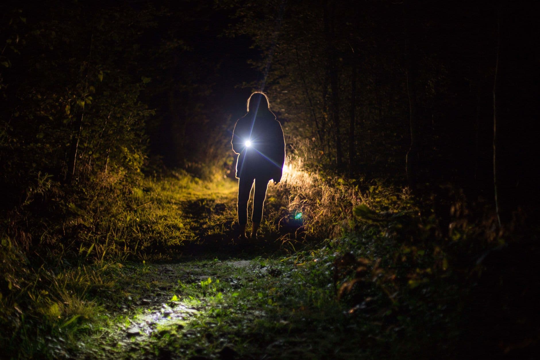 Full Beaver Moon HIke