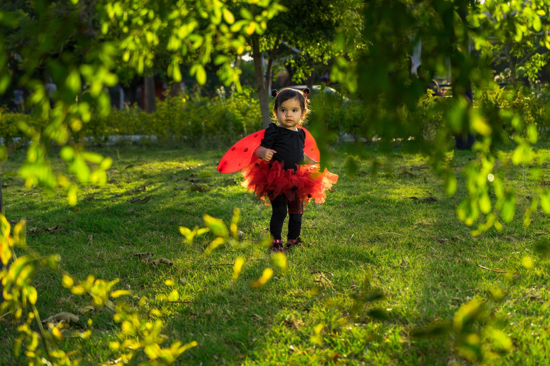 Insect Costume Contest
